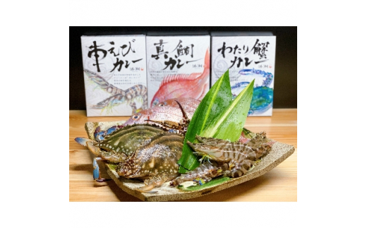 ＜武豊町×半田市共通返礼品＞三種のカレーを食べ比べ!「海の幸　三種食べ比べ」(3個セット×2)【1255890】