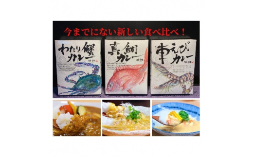 ＜武豊町×半田市共通返礼品＞三種のカレーを食べ比べ!「海の幸　三種食べ比べ」(3個セット×2)【1255890】