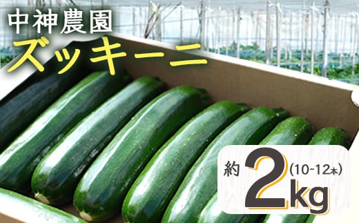 11月上旬～発送【産地直送】中神農園の ズッキーニ 約2kg (10～12本) 新鮮 野菜 夏 やさい 煮る 炒める 生食 ミネラル ビタミンC ずっきーに 甘み 酸味 用途多様 国産 九州 熊本県 多良木町 送料無料 071-0506