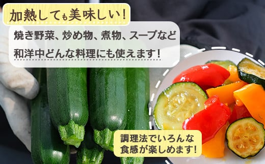 11月上旬～発送【産地直送】中神農園の ズッキーニ 約2kg (10～12本) 新鮮 野菜 夏 やさい 煮る 炒める 生食 ミネラル ビタミンC ずっきーに 甘み 酸味 用途多様 国産 九州 熊本県 多良木町 送料無料 071-0506