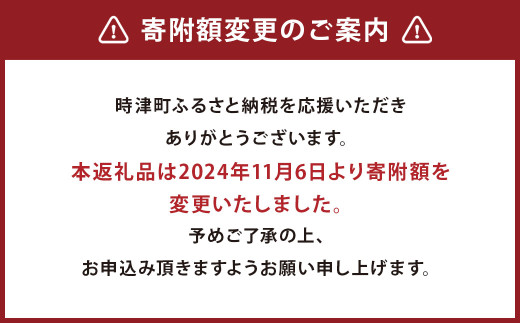 長崎県産 本マグロ「中トロ」