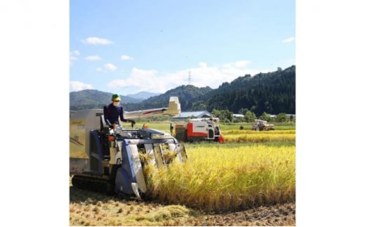 【令和6年産】定期便！農家直送！県認証特別栽培魚沼産コシヒカリ【合計240kg】毎月20kg×12回