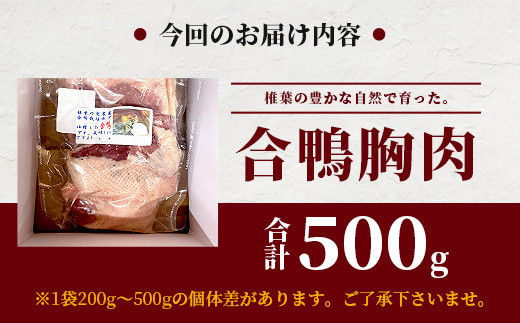 【数量限定】椎葉村産 合鴨 胸肉【合計500g】