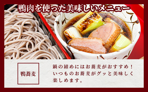 【数量限定】椎葉村産 合鴨 胸肉【合計500g】