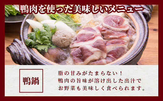 【数量限定】椎葉村産 合鴨 胸肉【合計500g】