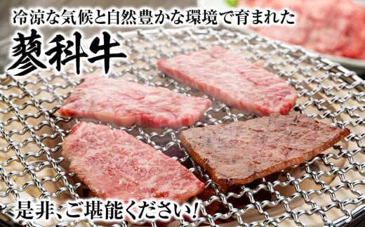 蓼科牛食べ比べCセット