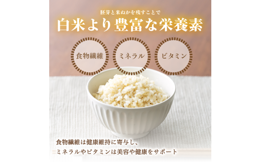 【定期便3回】【令和6年産】新米 減農薬コシヒカリ 玄米 10kg 毎月お届け 3ヶ月【 定期便 米 コシヒカリ こしひかり 10キロ 10kg 玄米 こめ コメ お米 おこめ 農家直送 減農薬 低農薬 綾部 京都 森本ファーム 】