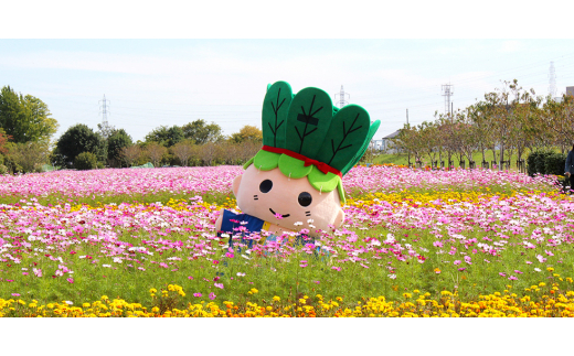 メガネハーネス＜LLサイズ＞ローズグレージュ(本革製)kazama premium【1404009】