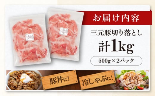  肉 豚肉 生姜焼き 小分け 冷凍 冷凍配送 11000 11000円 