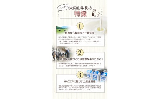 【5回定期便】大内山瓶バターの定期便 300g×2個を5回お届け！ / バター 有塩バター 瓶 クリーム パン 料理 材料 お菓子 お菓子作り 国産 三重県産 チャーン製法 手造り 手作り てづくり 乳製品 定期便