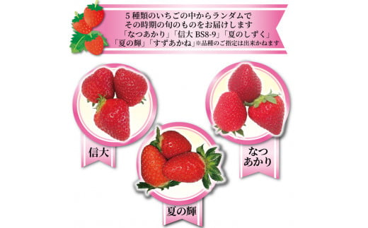 いちご 2種 400g (200g×2) 1〜5月お届け 苺 果物 くだもの フルーツ おやつ ストロベリー strawberry 岩手県 大船渡市