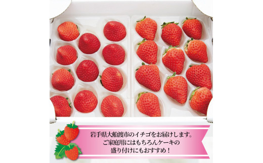 いちご 2種 400g (200g×2) 1〜5月お届け 苺 果物 くだもの フルーツ おやつ ストロベリー strawberry 岩手県 大船渡市