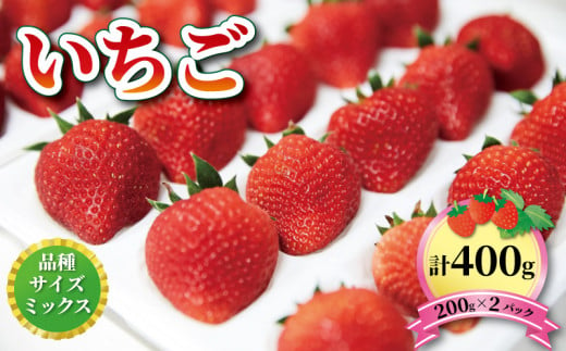 いちご 2種 400g (200g×2) 1〜5月お届け 苺 果物 くだもの フルーツ おやつ ストロベリー strawberry 岩手県 大船渡市