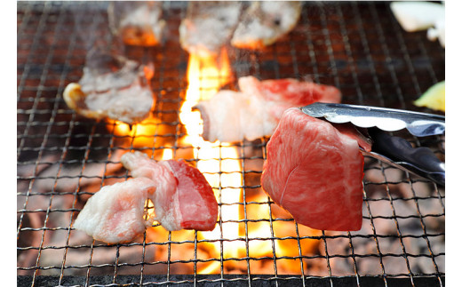 うらほろ和牛 焼肉3種（ウデ400g+バラ400g+モモ200g）セット