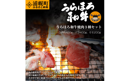 うらほろ和牛 焼肉3種（ウデ400g+バラ400g+モモ200g）セット