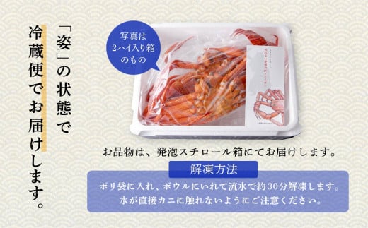 【《年内配送延長》11/30までの寄附で年内配送予定】日本海沖産 紅ズワイガニ700g前後×2匹 約1.4kg/冷凍