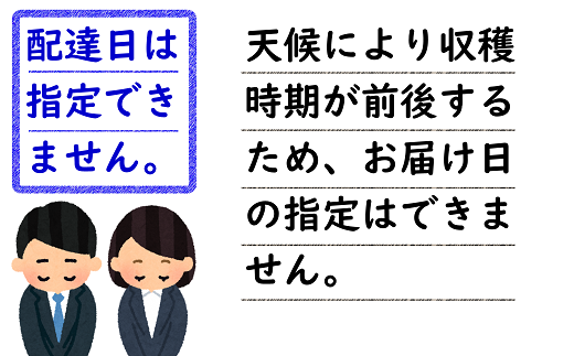 【令和7年産先行予約】 さくらんぼ 「紅秀峰」 約500g (特秀 3L) バラパック詰め 《令和7年6月下旬～発送》 『松田観光果樹園』 サクランボ 果物 フルーツ 産地直送 生産農家直送 山形県 南陽市 [2001]