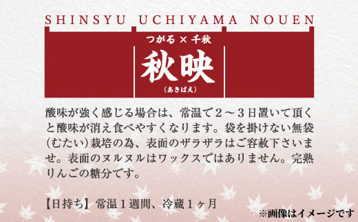 [No.5657-2949]甘さも酸味も強め！『秋映』約3kg (約7～9玉) 《信州うちやま農園》■2025年発送■※10月上旬頃～10月下旬頃まで順次発送予定