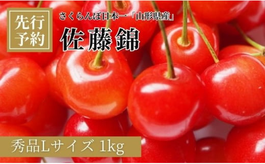 山形県 朝日町産 さくらんぼ 佐藤錦 秀品 L 1kg 農産物 フルーツ 山形産 バラ詰め サクランボ 高級 果物 初夏 【6月下旬頃発送】