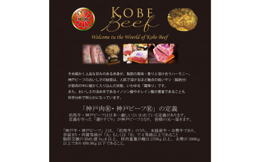 訳あり 神戸牛 切り落とし肉&焼肉(切り落とし)　500gずつ　計1000g　SOSY2