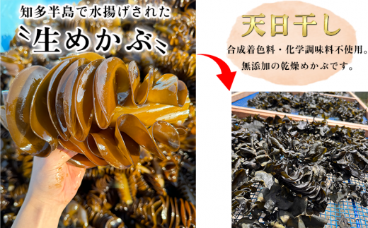 岬だよりのコリコリ食感・粘り抜群の乾燥めかぶ　120g×1袋