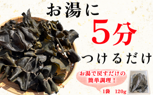 岬だよりのコリコリ食感・粘り抜群の乾燥めかぶ　120g×1袋