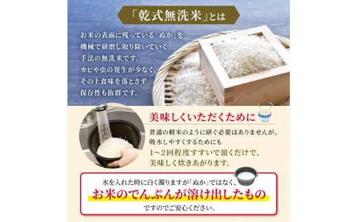 令和6年産   【定期便6回】 ひのひかりとくまさんの輝き食べ比べ 無洗米 10kg | 小分け 5kg × 2袋  熊本県産 特A獲得品種 米 無洗米 ごはん 銘柄米 ブランド米 単一米 人気 日本遺産 菊池川流域 こめ作り ごはん ふるさと納税 返礼品 