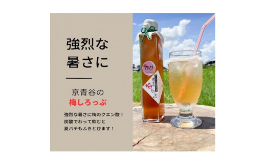 炭酸水や、カクテルで楽しめる梅の味＜京青谷の梅しろっぷ＞200ml×3本【1431922】