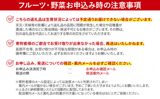 数量限定 新高梨 5～7玉 約5kg 9月中旬～9月下旬に順次出荷予定 農家直送 ジャンボサイズ 樹上完熟 甘い ジューシー フルーツ 果物 果汁 ギフト 福岡県 福岡 九州 グルメ お取り寄せ