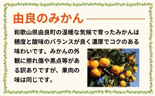 農家直送 ご家庭用 和歌山県由良町産温州みかん 約5kg 2S～2Lサイズ混合