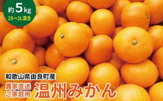 農家直送 ご家庭用 和歌山県由良町産温州みかん 約5kg 2S～2Lサイズ混合