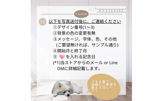 うちの子カレンダー フレーム付《 ペット 家族 記念 選べるデザイン オリジナルカレンダー A4サイズ 開始月自由 写真 フレーム付 》【2400N13314】