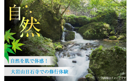 22 滝行 体験 １日コース 大人１名分 チケット [上市町観光協会 富山県 上市町 32280167] 食事 付き 旅行 旅行券