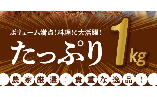 【2025年先行予約】農家厳選！南国の赤土で育んだ 沖永良部島産 生にんにく 2L玉 1kg【3月下旬～4月下旬】　W041-001u