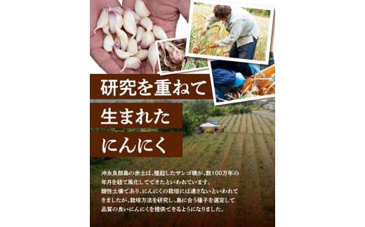 【2025年先行予約】農家厳選！南国の赤土で育んだ 沖永良部島産 生にんにく 2L玉 1kg【3月下旬～4月下旬】　W041-001u