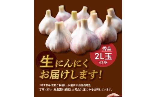 【2025年先行予約】農家厳選！南国の赤土で育んだ 沖永良部島産 生にんにく 2L玉 1kg【3月下旬～4月下旬】　W041-001u