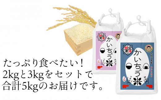 ＜令和5年産＞食味値80以上!会津・柳津産コシヒカリ「かいちょう米」5kg(2kg、3kgセット)【1467323】