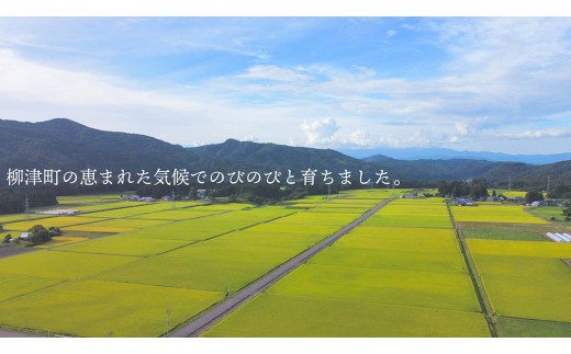 ＜令和5年産＞食味値80以上!会津・柳津産コシヒカリ「かいちょう米」5kg(2kg、3kgセット)【1467323】