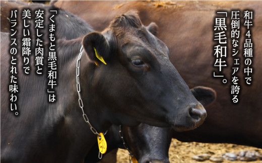 くまもと黒毛和牛・モモ焼肉用約500g