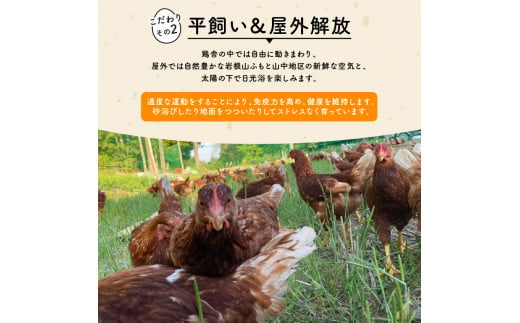 定期便 平飼い有精卵 滋賀竜王卵 30個 × 6ヵ月 ※割れ保証各3個 ( こんもり盛り上がるプルプルな卵白 滋賀竜王卵 新鮮 平飼い 卵 純国産 鶏もみじ 大人気 たまご 鶏卵 卵黄 エッグ 希少 たまごかけ ご飯 玉子 タマゴ 玉子焼き たまご焼き すき焼き 鶏 ケーキ 産地直送 国産 滋賀県 竜王町 ふるさと納税 )