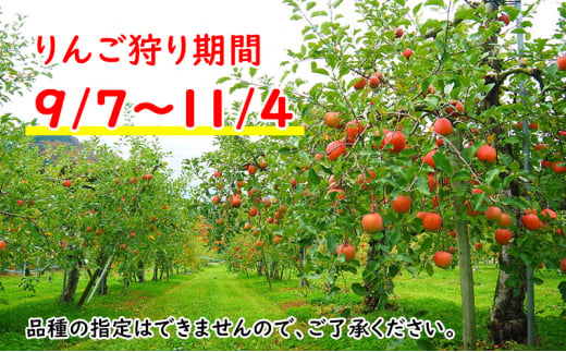 りんご狩りお土産付招待券 りんご狩り約3kg分（お土産付き りんごジャム200g×2個 ジュース200ml×2本　盛岡市産）