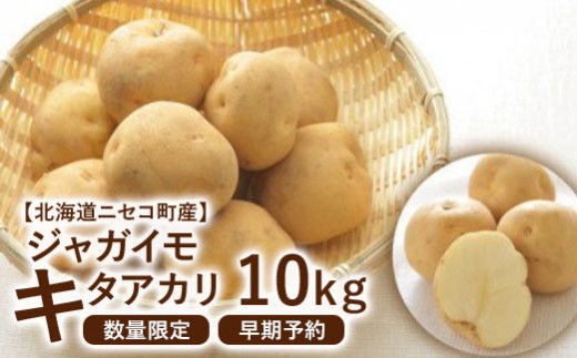 【北海道ニセコ町産】ジャガイモ　キタアカリ　10kg　＜数量限定・2024年早期予約・9月末より出荷予定＞【0202401】