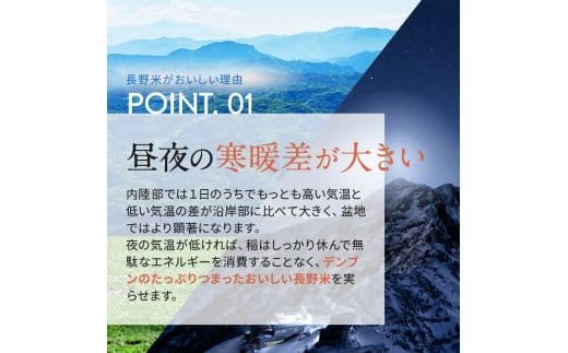 定期 6回 信州米 こしひかり 白米 10kg 長野県産 | 米 コシヒカリ 白米 精米 お米 信州米 定期 小計 10 kg 合計 60kg  特産品 千曲市 長野県 信州