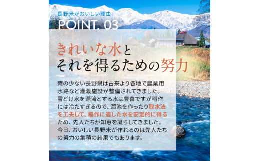 定期 6回 信州米 こしひかり 白米 10kg 長野県産 | 米 コシヒカリ 白米 精米 お米 信州米 定期 小計 10 kg 合計 60kg  特産品 千曲市 長野県 信州