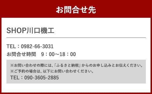 体験 ウェイクサーフィン 15分 [SHOP川口機工 宮崎県 美郷町 31bj0010] アクティビティ 夏 スポーツ体験 スポーツ コース マリンスポーツ 利用券 利用権 宮崎県  送料無料