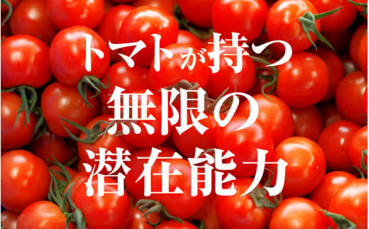 【ふるさと納税】【通常発送】じゅわっと極甘のフルーツミディトマト 約1kg (バラ箱詰め) 幸せ寄附額 ハッピーキャンペーン 開催中【とまと トマト フルーツトマト ミディトマト ミニトマト トマトジュース 野菜 やさい 人気 新鮮 産地直送 甘い 高糖度 食べやすい リコピン ビタミン ダイエット 美容 美肌 】 [m37-a012_00]