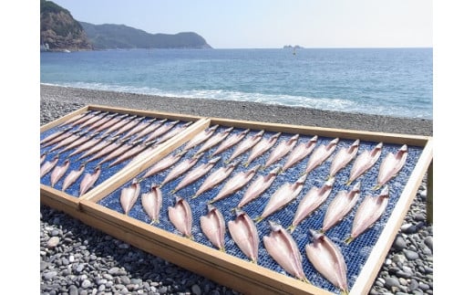 【定期便３回】 干物 熊野干物詰め合わせ 海の恵み D 鯛 サンマ アジ カマス ブリ カワハギ スルメ 人気 干物セット