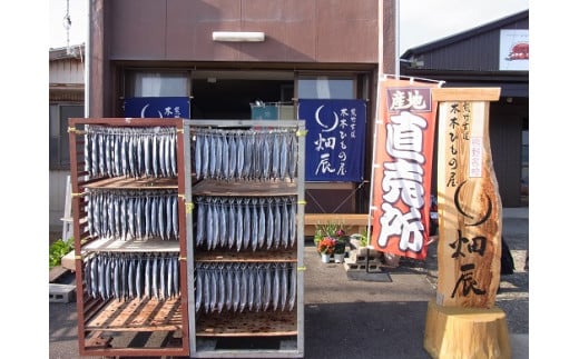 【定期便３回】 干物 熊野干物詰め合わせ 海の恵み D 鯛 サンマ アジ カマス ブリ カワハギ スルメ 人気 干物セット