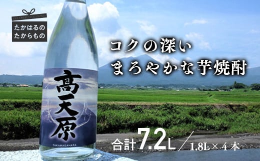 宮崎の芋焼酎「高天原（タカマガハラ）」1升瓶４本 TF0170-P00012