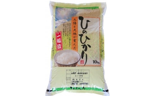 ＜令和6年10月中旬以降発送＞ひのひかり(奈良県天理産)精米10㎏＜令和6年産＞(一等米)【1085319】